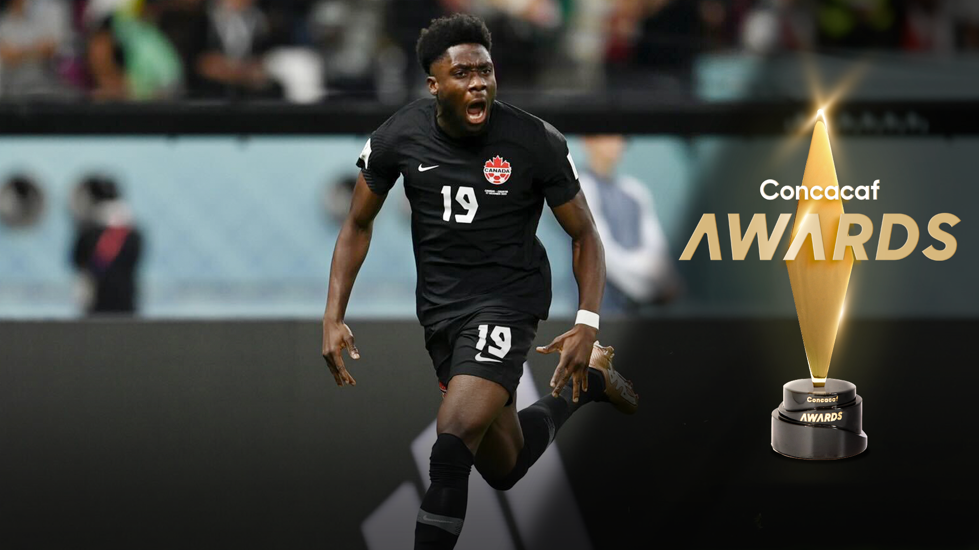 Player Image