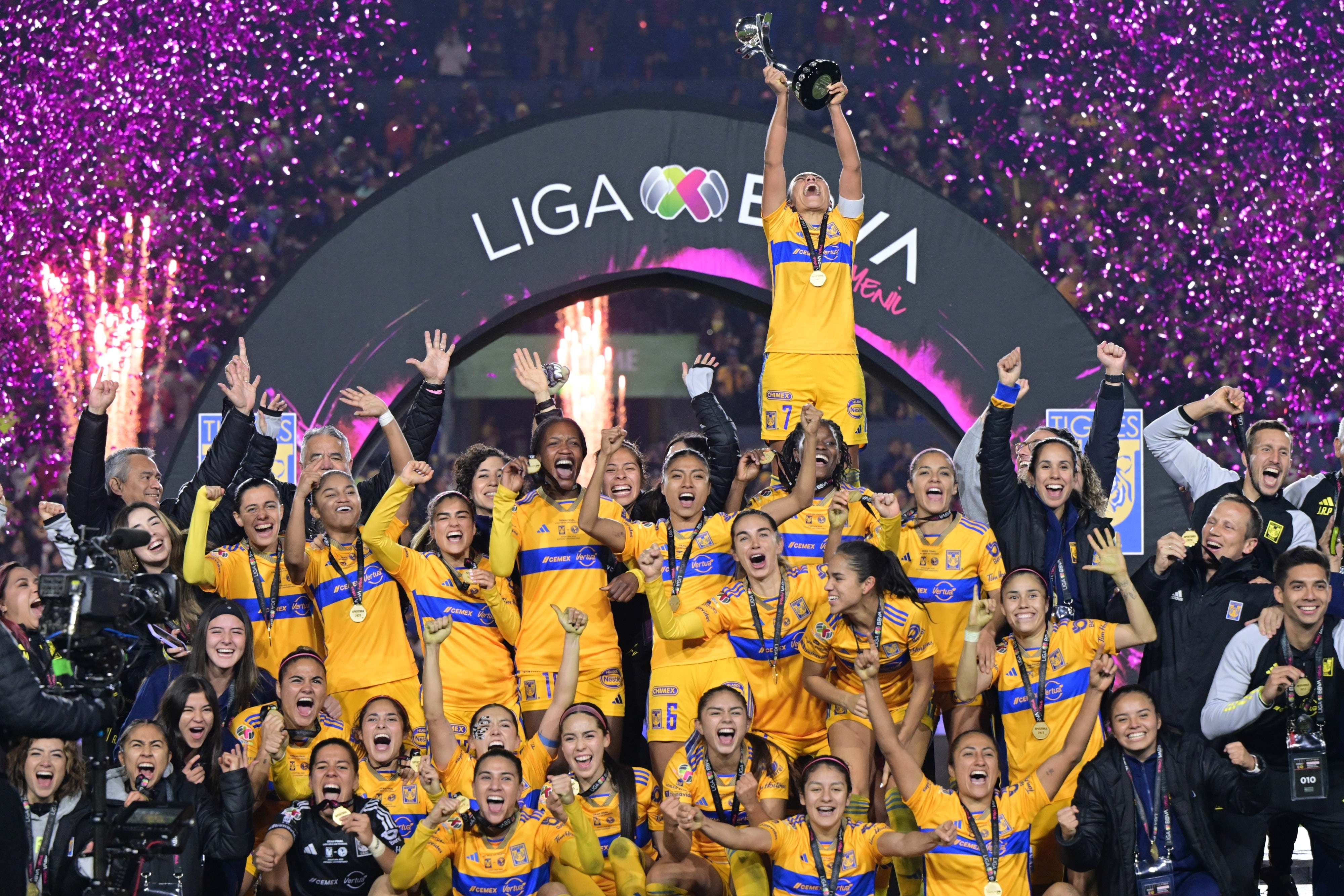 Acerca De Tigres Uanl